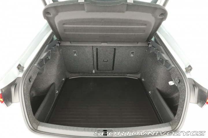 Škoda Octavia RS RS RS 2.0 TSI 2025