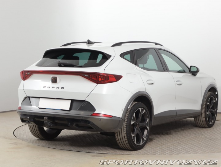 Cupra Formentor 2.0 TSI 4Drive 2022