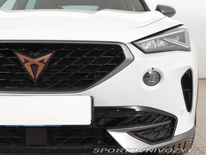 Cupra Formentor 2.0 TSI 4Drive 2022