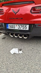 Chevrolet Corvette man., EU verze, nebouraná 1800