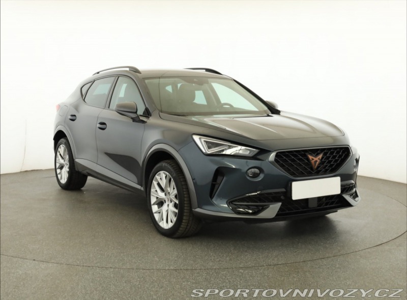 Cupra Formentor Formentor 2.0 TSI 4Drive