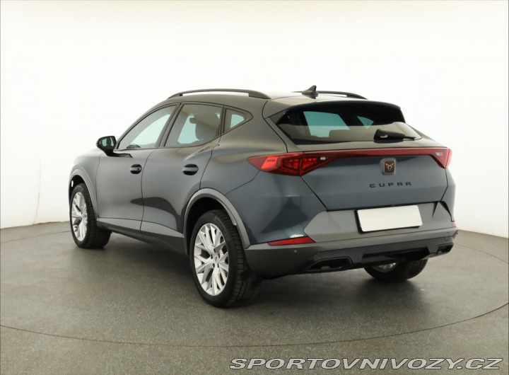 Cupra Formentor Formentor 2.0 TSI 4Drive 2022