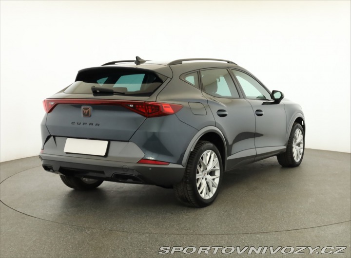 Cupra Formentor Formentor 2.0 TSI 4Drive 2022