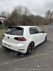 Volkswagen Golf Gti 7,5 Performance 2018