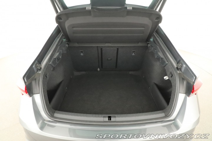 Škoda Octavia RS RS RS 2.0 TSI 2024