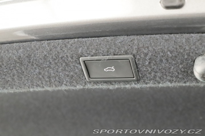 Škoda Octavia RS RS RS 2.0 TSI 2024