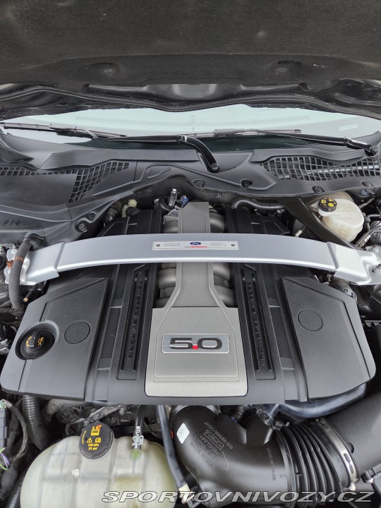 Ford Mustang 5.0GT FIFTY FIVE YEARS 2021