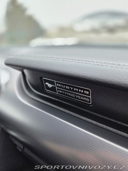 Ford Mustang 5.0GT FIFTY FIVE YEARS 2021