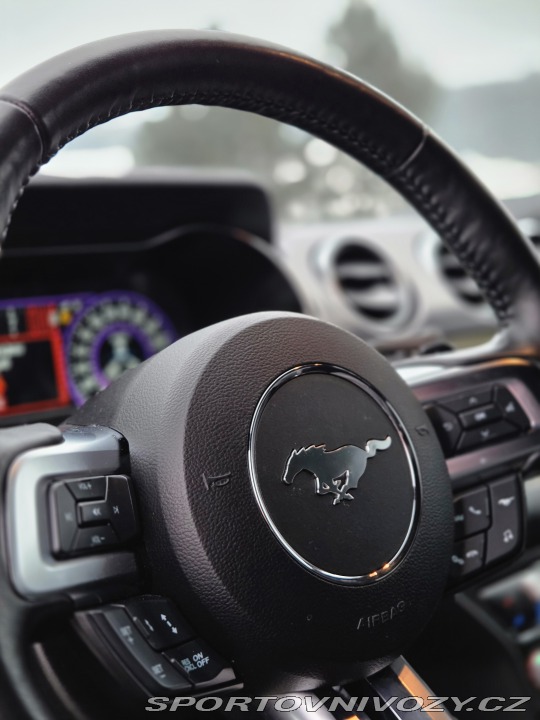 Ford Mustang 5.0GT FIFTY FIVE YEARS 2021