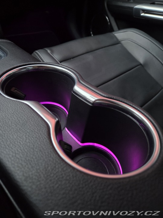 Ford Mustang 5.0GT FIFTY FIVE YEARS 2021