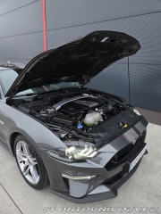 Ford Mustang 5.0GT FIFTY FIVE YEARS 2021