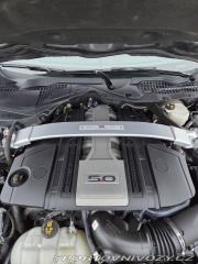 Ford Mustang 5.0GT FIFTY FIVE YEARS 2021