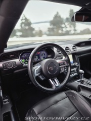 Ford Mustang 5.0GT FIFTY FIVE YEARS 2021