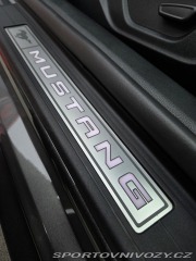 Ford Mustang 5.0GT FIFTY FIVE YEARS 2021