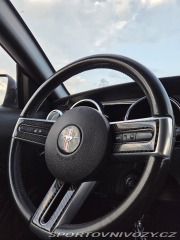 Ford Mustang 4.0 V6 2007