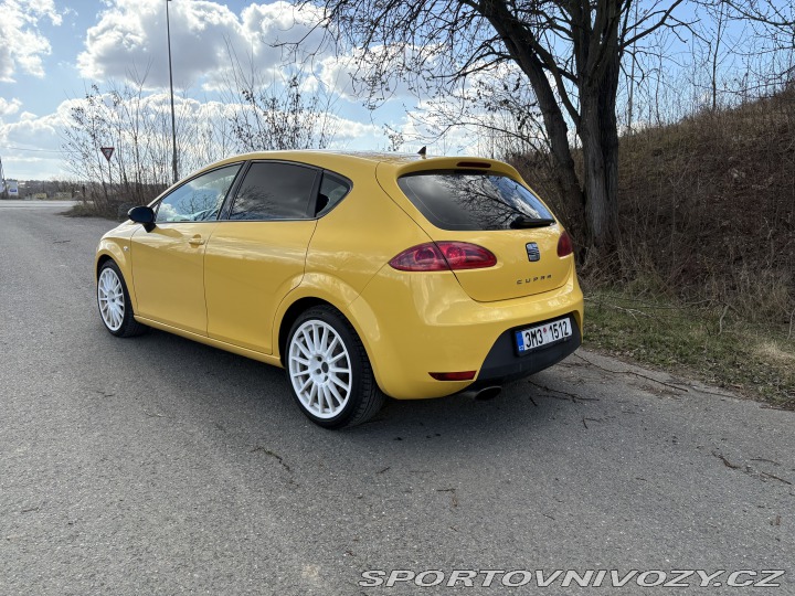 Seat Leon Cupra 1P 2007