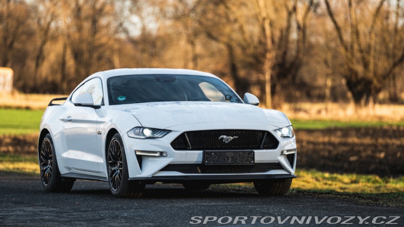 Ford Mustang Ford Mustang V8 5.0 GT
