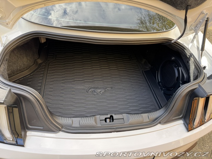 Ford Mustang Ford Mustang V8 5.0 GT 2018