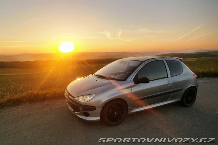 Peugeot 206 206 rc 2004