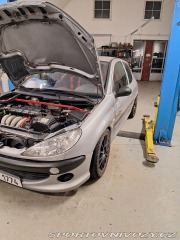 Peugeot 206 206 rc 2004