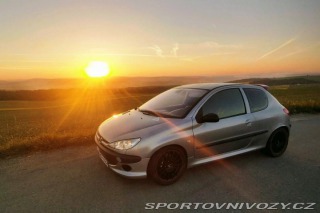 Peugeot 206 206 rc 2004