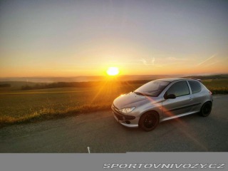Peugeot 206 206 rc 2004
