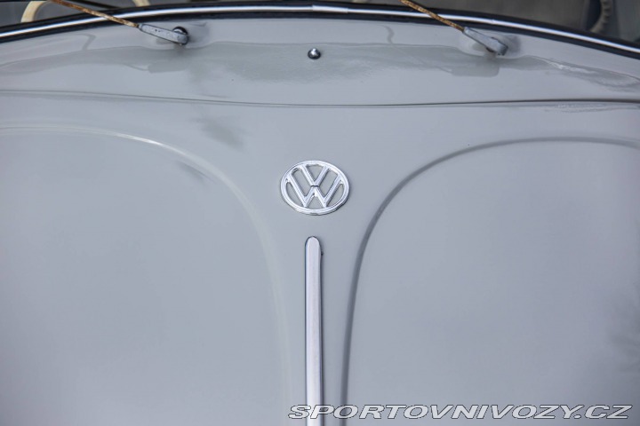 Volkswagen Brouk 1200 1960