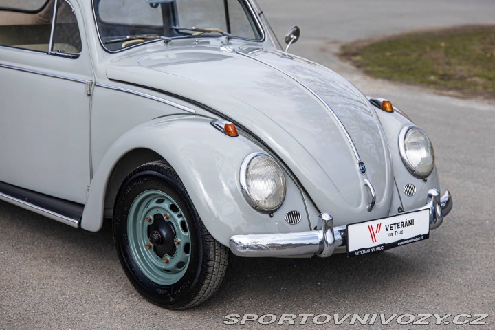 Volkswagen Brouk 1200 1960