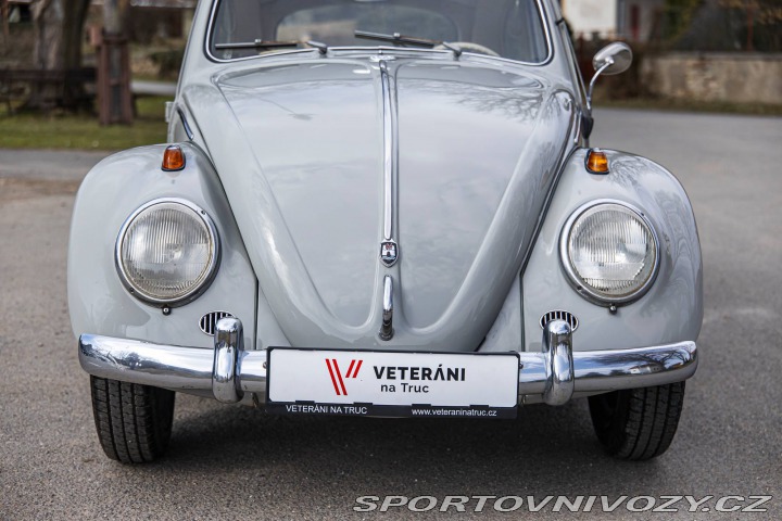 Volkswagen Brouk 1200 1960