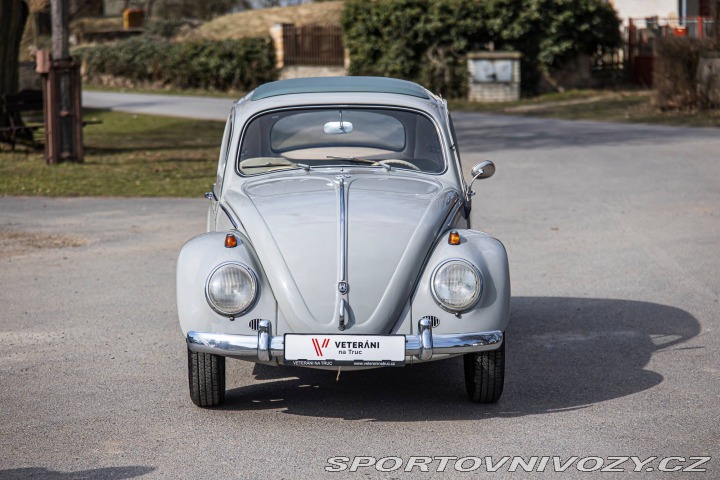 Volkswagen Brouk 1200 1960