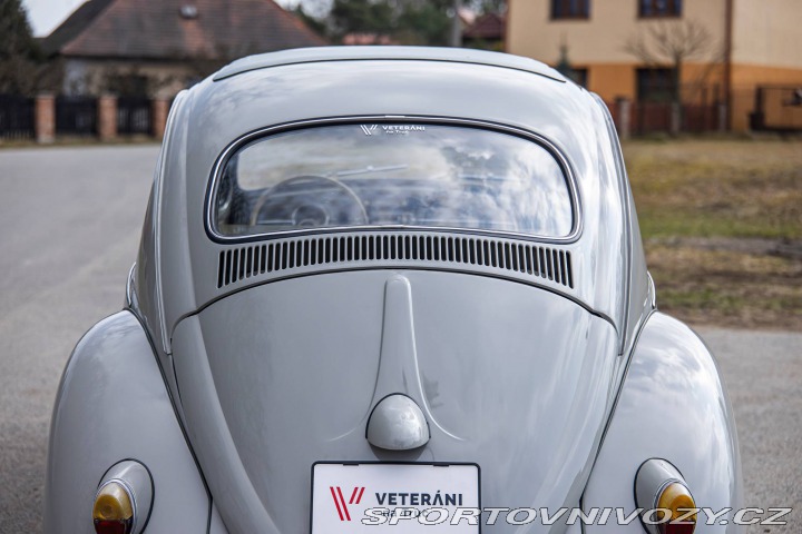 Volkswagen Brouk 1200 1960