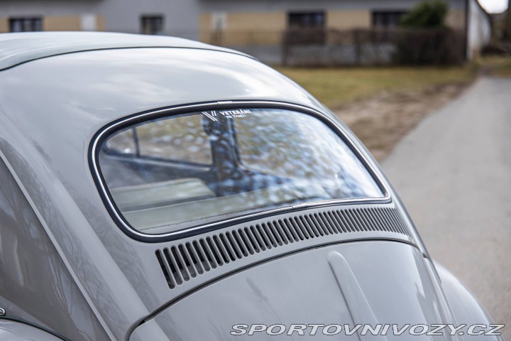 Volkswagen Brouk 1200 1960