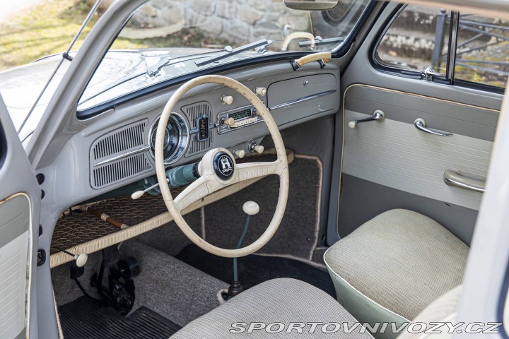 Volkswagen Brouk 1200 1960