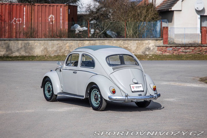 Volkswagen Brouk 1200 1960