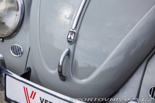 Volkswagen Brouk 1200 1960