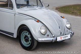 Volkswagen Brouk 1200 1960