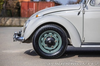 Volkswagen Brouk 1200 1960
