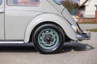 Volkswagen Brouk 1200 1960