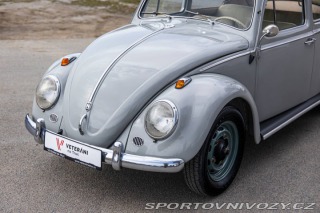 Volkswagen Brouk 1200 1960