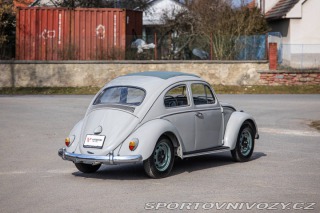 Volkswagen Brouk 1200 1960