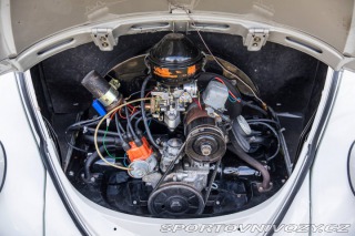 Volkswagen Brouk 1200 1960