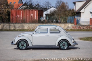 Volkswagen Brouk 1200 1960