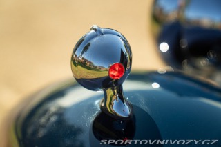 Ostatní značky Ostatní modely Delage D6 - 11 1933