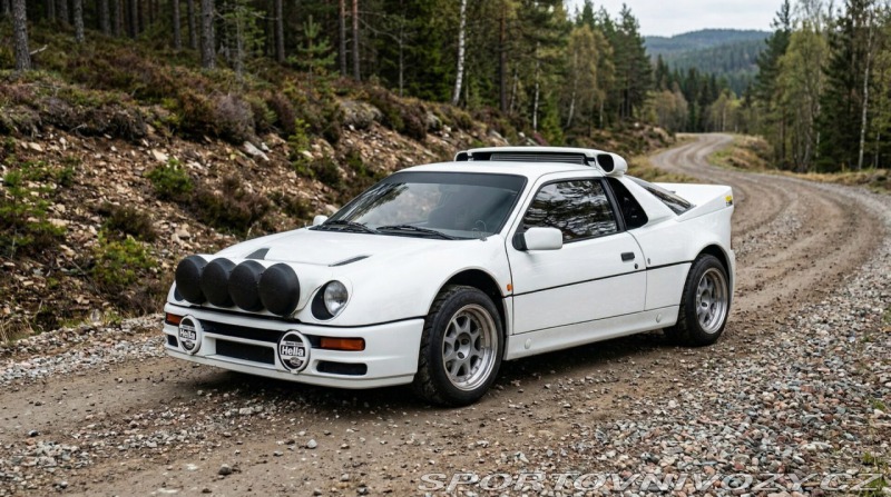 Ford Ostatní modely RS 200