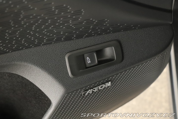 Škoda Octavia RS RS RS 2.0 TSI 2024