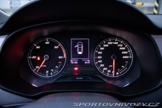 Seat Leon 5F FR 2.0TDI 135kw - CUP 2013