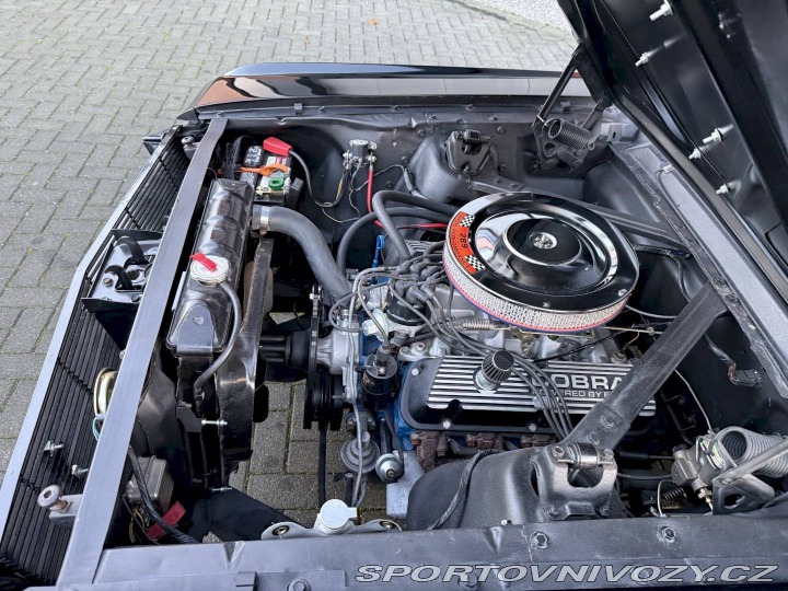 Ford Mustang Fastback 1966