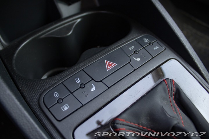 Seat Ibiza FR 1.4TSI DSG 110kW / AJ 2010