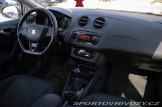 Seat Ibiza FR 1.4TSI DSG 110kW / AJ 2010