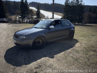 Audi S3 8l 2003